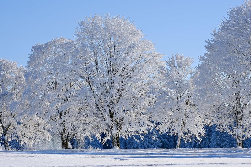 Winter Snow Design